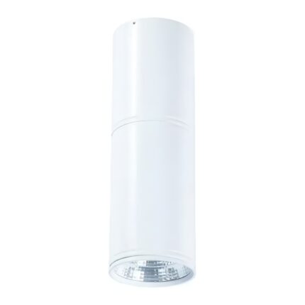 LED plafonska lampa F2603-12C WH-Cormel-FORMA