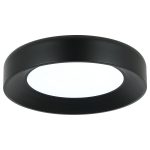LED plafonska lampa F2096-67C BK - Slika 3