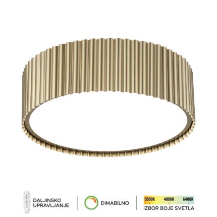 LED plafonska lampa F2095-62P SG